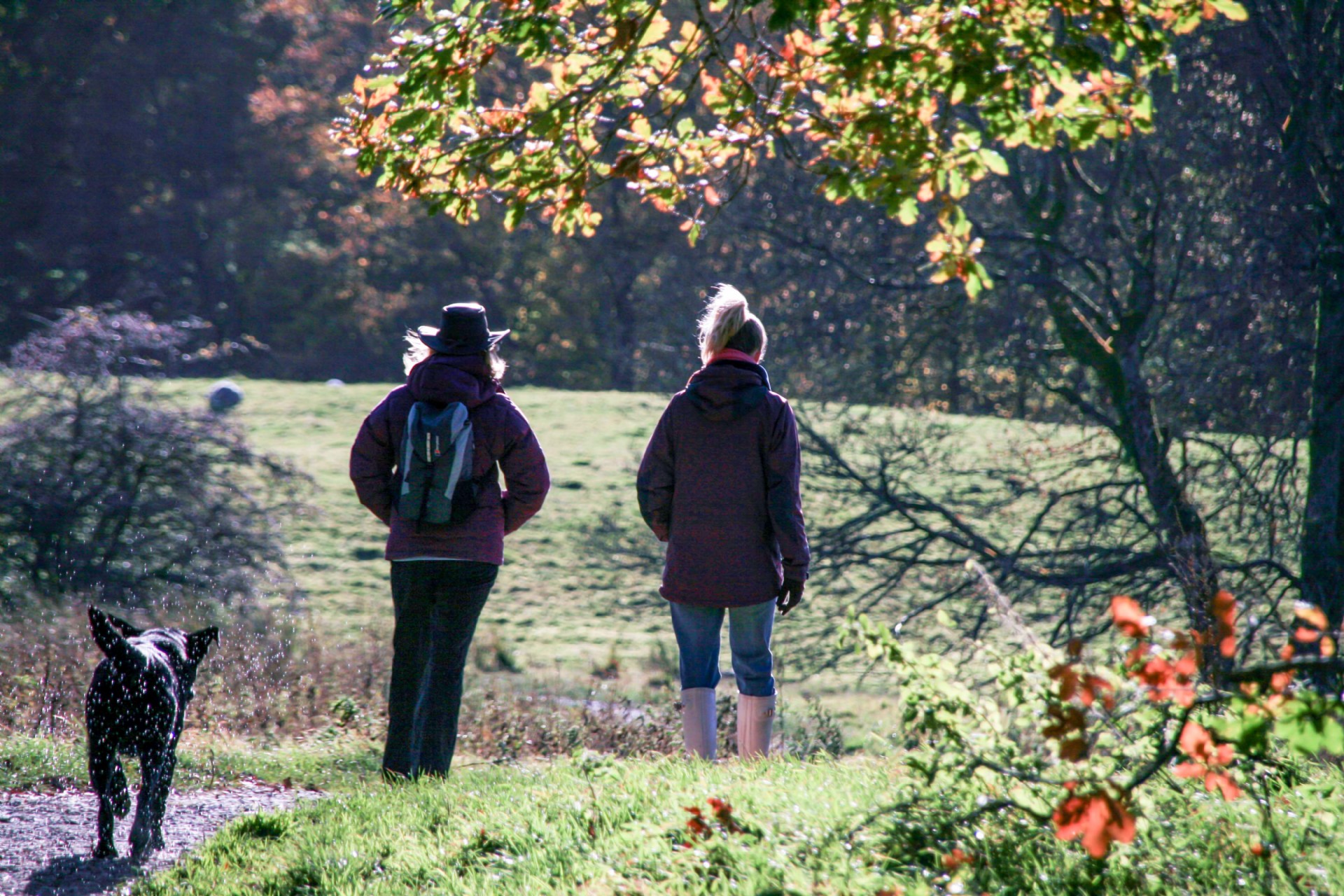 <p>With stunning views and amazing landscapes, the Lake District is a walker's paradise.