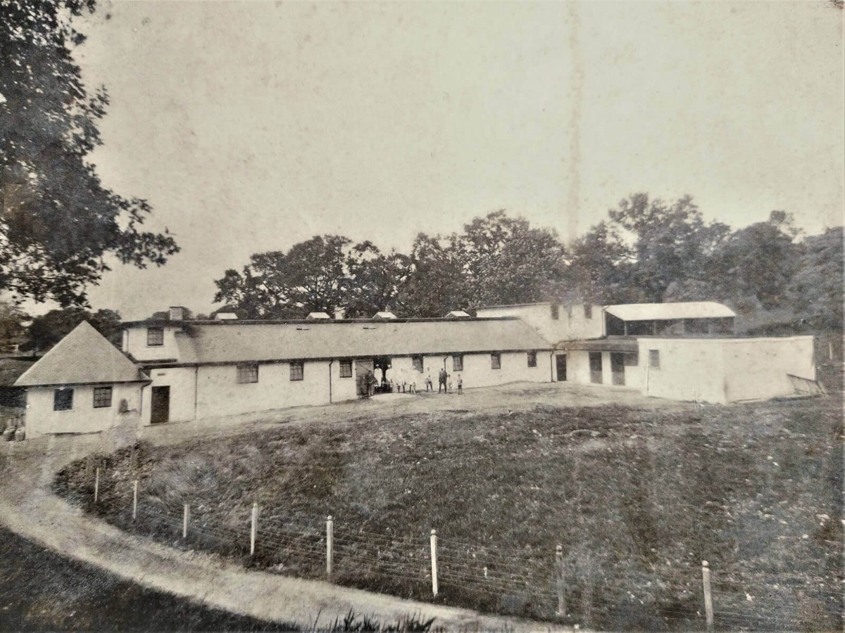 matson-ground-farm-in-the-20th-century.jpg